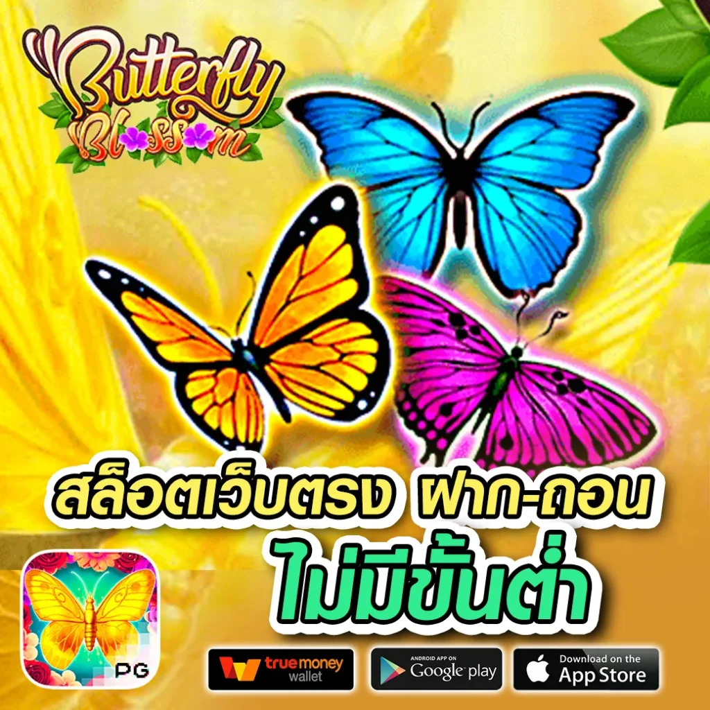 coinbet-888 จ่ายจริง